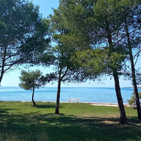 My Dalmatia - Sea View With Free Private Parking Lejlighed Privlaka (Zadar)